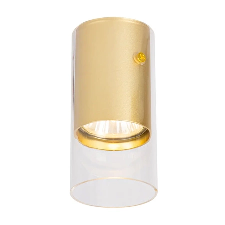 Oprawa Natynkowa HALOGENOWA Downlight Tuba Spot Ricky Okrągła Złota GU10 MILAGRO