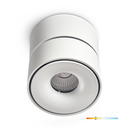 Oprawa Sufitowa Reflektor Regulowany LED 9W 550lm 3000K Ciepła Ściemnialna CRI90 Biała Lahti Kobi