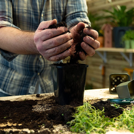 Zestaw 5x Doniczka Produkcyjna do Rozsady Pikowania Wysiewu Nasion Warzyw 11x11x12 cm