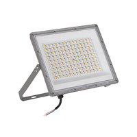 Naświetlacz Lampa LED 100W 10800lm CCT 90° IP65 Szary ACETE Kanlux