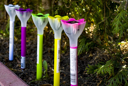 Lampa Ogrodowa LED Solarna Wbijana TULIPANEK Zielony