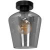 Lampa Sufitowa SANTIAGO SMOKED 1xE27 Milagro