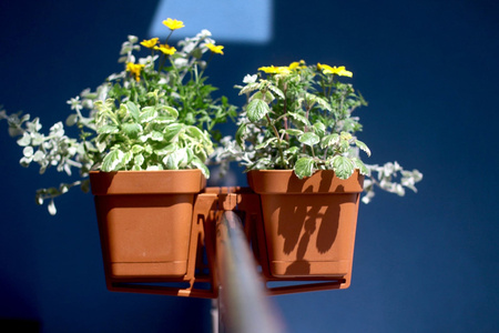 Uchwyt do Skrzynki Doniczki Balkonowej Regulowany LOBELIA Ceglasty