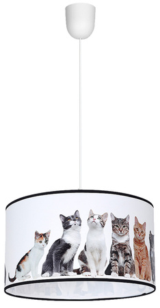 Lampa Wisząca Sufitowa CATS 1xE27 Milagro