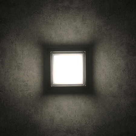 Lampa Ogrodowa Kinkiet Elewacyjny KANSAS LED IP44 12W 4000K Czarna GOLDLUX (Polux)