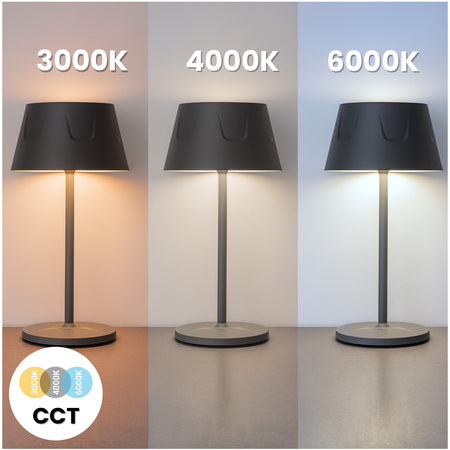 Lampa Ogrodowa LED Stojąca Ozdobna Stołowa Nocna USB Ściemnialna Dotykowa Czarna FIORA LUMILED