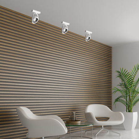 Oprawa Natynkowa Halogenowa Lugar Biała 1xAR111 GU10 Spot Milagro