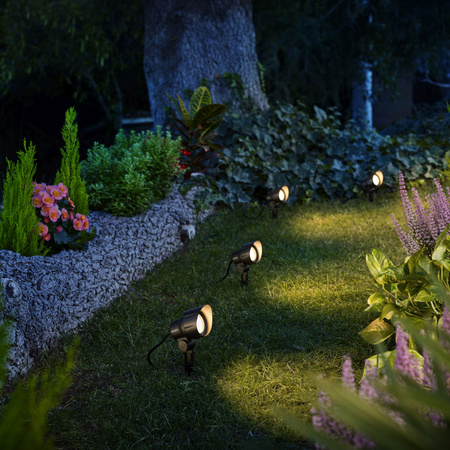 Lampa Ogrodowa Reflektor LED 6W 600lm 2700K IP44 Czarny Low Voltage 12V Philips