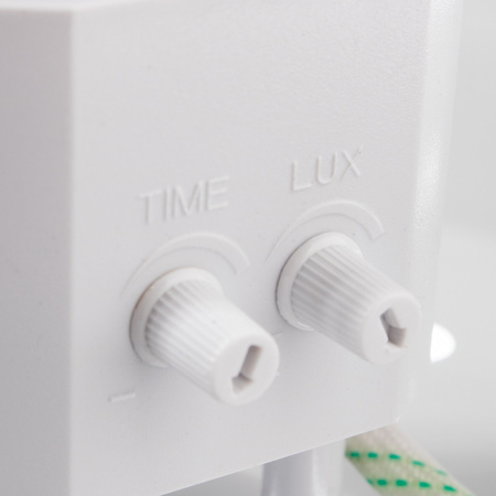 Plafon LED Lampa Sufitowa DALLAS 2x E27 Czujnik Ruchu i Zmierzchu