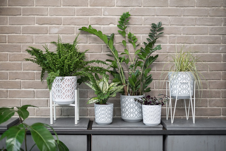 Doniczka Dekoracyjna Donica z Wkładem 25cm Domowa Ogrodowa Ażurowa Osłonka do Kwiatów Czarno-Złota