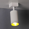 Kinkiet Reflektor Oprawa Ścienno-Sufitowa LED 1 x GU10 MARIBEL Biały GOLDLUX (Polux)
