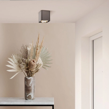 Oprawa Natynkowa Punktowa Spot GU10 Czarna Złota XENO Sanico Goldlux