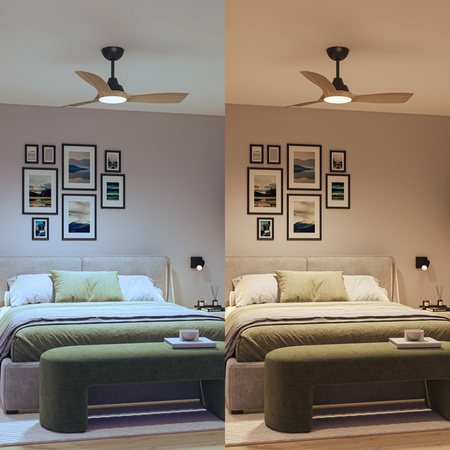 Wentylator Sufitowy 28W Lampa Sufitowa LED 24W 2650lm 3000/4300/6500K CCT Czarna Brązowa + Pilot Olas Philips