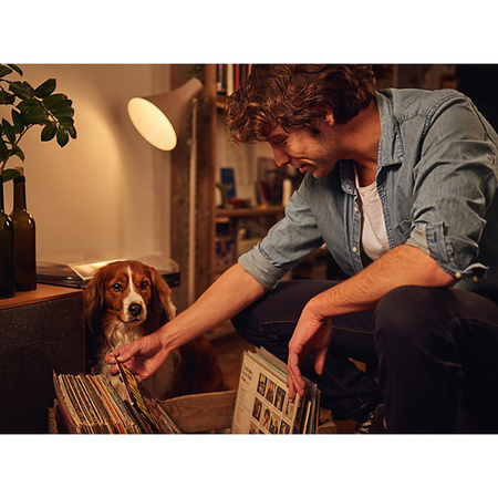 Żarówka LED E27 A60 10,5W = 75W 1055lm 3000K Ciepła PHILIPS