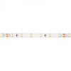 Taśma LED Pasek SMD 2835 10.8W/m 500lm/m 60LED/m 24V 6500K Zimna IP20 Rolka 5m Ecolight