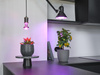 Żarówka LED do Roślin E27 10W 330lm 110° Wspomagająca Wzrost Doświetlająca STAR GROW Osram