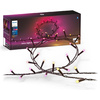 Lampki Choinkowe Zewnetrzne LED 40m 28W 500LED IP44 Girlanda White and Color Ambiance RGB + TW Inteligentna SMART Zigbee Bluetooth Festavia Philips HUE