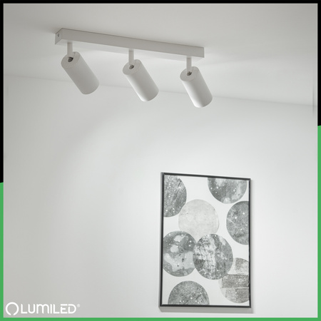 Lampa Sufitowa SPOT TUBA Reflektor Oprawa Halogenowa 3x GU10 TABULA LUMILED