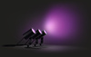 Zestaw 3x Reflektor Ogrodowy Wbijany LED 8W 590lm IP65 White and Color Ambiance RGB + TW Czarna Inteligentna SMART Zigbee Bluetooth Lily Philips HUE