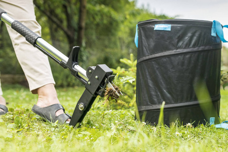 Wyrywacz Wycinak Narzędzie Ogrodowe do Usuwania Chwastów z Kostki Trawnika Regulowany IDEAL CELLFAST
