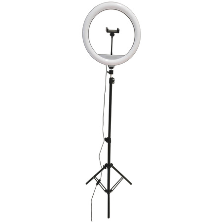 Lampa Podłogowa LED 15W 330lm 2700-4000-6500K Ciepła 360° Czarna Ściemnialna SELFIE Sanico Goldlux