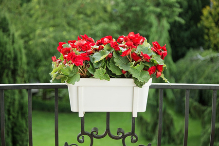 Uchwyt do Skrzynki Doniczki Balkonowej Regulowany LOBELIA Ceglasty