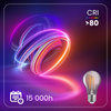 Zestaw 6x Żarówka LED  A60 E27 6W = 50W 660lm 2200K Ciepła 360° Filament Dymiona LUMILED Smokey