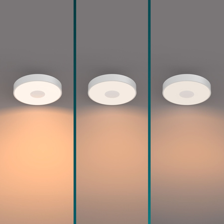 Lampa Sufitowa Plafon LED 24W 2700lm 2700K SceneSwitch Biała Coiner Philips