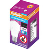 Żarówka LED Antybakteryjna A60 E27 10W = 75W 1055lm 6500K Zimna 200° Antibacterial Classic Osram
