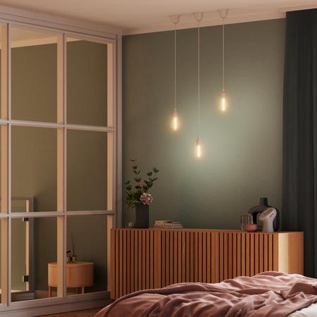 Lampa Sufitowa Wisząca E27 Zwis Biały Vintage 1906 Pendulum Ledvance