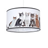 Lampa Wisząca Sufitowa CATS 1xE27 Milagro