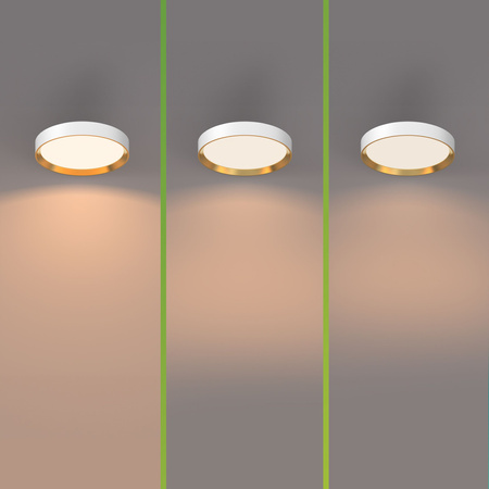 Lampa Sufitowa Plafon LED 24W 2700lm 2700K SceneSwitch Biała Hanno Philips