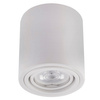 Oprawa Natynkowa HALOGENOWA Aluminiowa Biała SPOT TUBA 10cm do LED GU10 Bellalux