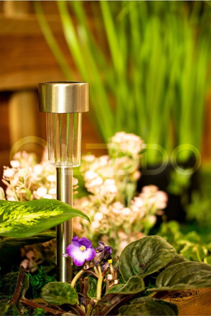 Lampa Ogrodowa LED Solarna Wbijana satyna INOX / CHROM