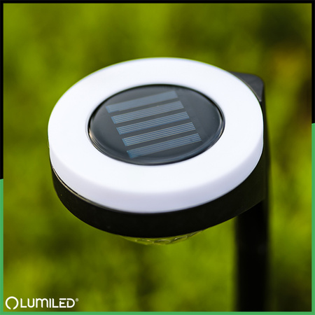 2x Lampa Solarna Ogrodowa LED LILA Wbijana Zewnętrzna Dekoracyjna 3000K LUMILED