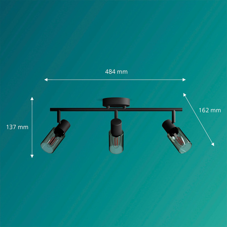 Lampa Sufitowa Reflektor 3x E14 Czarna Palms Philips