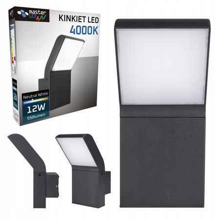 Kinkiet Ogrodowy Elewacyjny Lampa Zewnętrzna LED 12W 4000K IP54