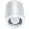 Oprawa sufitowa natynkowa tuba metalowa spot JUPITER 10 GOLDLUX (Polux) DOWNLIGHT E27