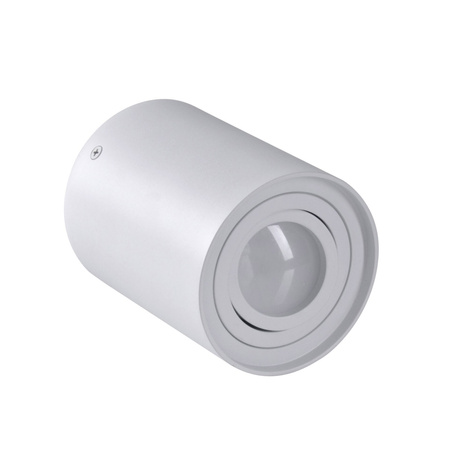 Oprawa Sufitowa Natynkowa HADAR R1 1xGU10 Ruchoma Okrągła Biała