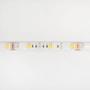 Taśma LED Pasek SMD 5050 14.4W/m 60LED/m 12V 2700-6500K Wielokolorowa RGB + zmienna CCT IP20 Rolka 5m Ecolight