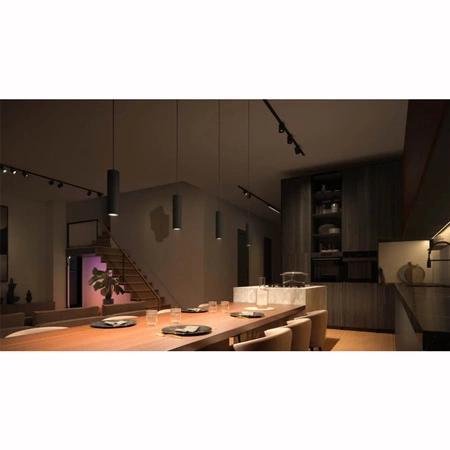 Lampa Sufitowa Oprawa Wisząca LED Perifo Czarna 5,2W CCT RGB Philips HUE Bluetooth