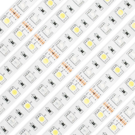 Taśma LED Pasek 12V 72W 300LED 5050 RGB + Neutralna barwa 10mm 5m