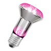 Żarówka LED do Roślin R63 Reflektor E27 7.5W = 15W 140lm Wspomagająca Wzrost Ciepła 100° STAR GROW Osram
