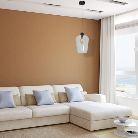 Lampa wisząca SANTIAGO 1xE27 Klosz Transparentne Szkło MLP6605 Metal + Szkło