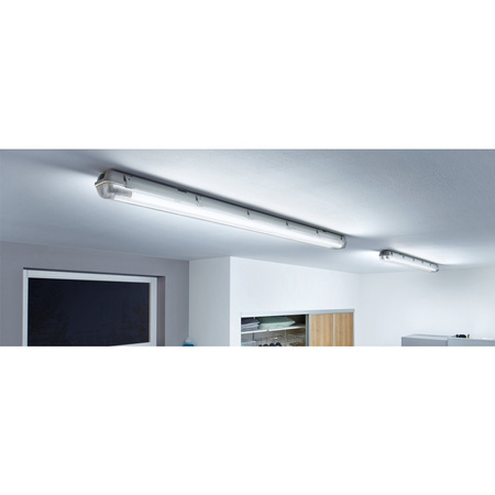 Świetlówka LED G13 T8 8W 800lm 4000K Neutralna 240° 60cm PHILIPS