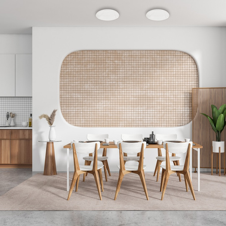 Plafon LED Lampa Sufitowa Natynkowa ALLISTER 36W LED + pilot Milagro