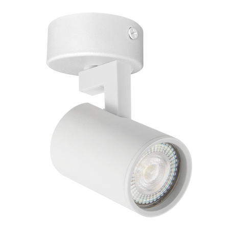 Oprawa Ścienno-Sufitowa Reflektor Punktowy GU10 Biała LYNX Sanico Goldlux