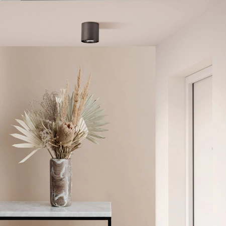 Oprawa Natynkowa Punktowa Spot GU10 Czarna Złota XENO Sanico Goldlux