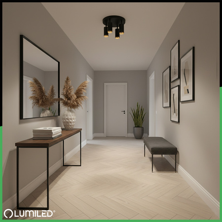 Lampa Sufitowa Reflektor 4x GU10 Plafon ELIGIS Czarny LUMILED