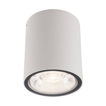 Lampa Ogrodowa Zewnętrzna Sufitowa EDESA LED M 9108 IP54 6W 3000K Tuba Biała Nowodvorski